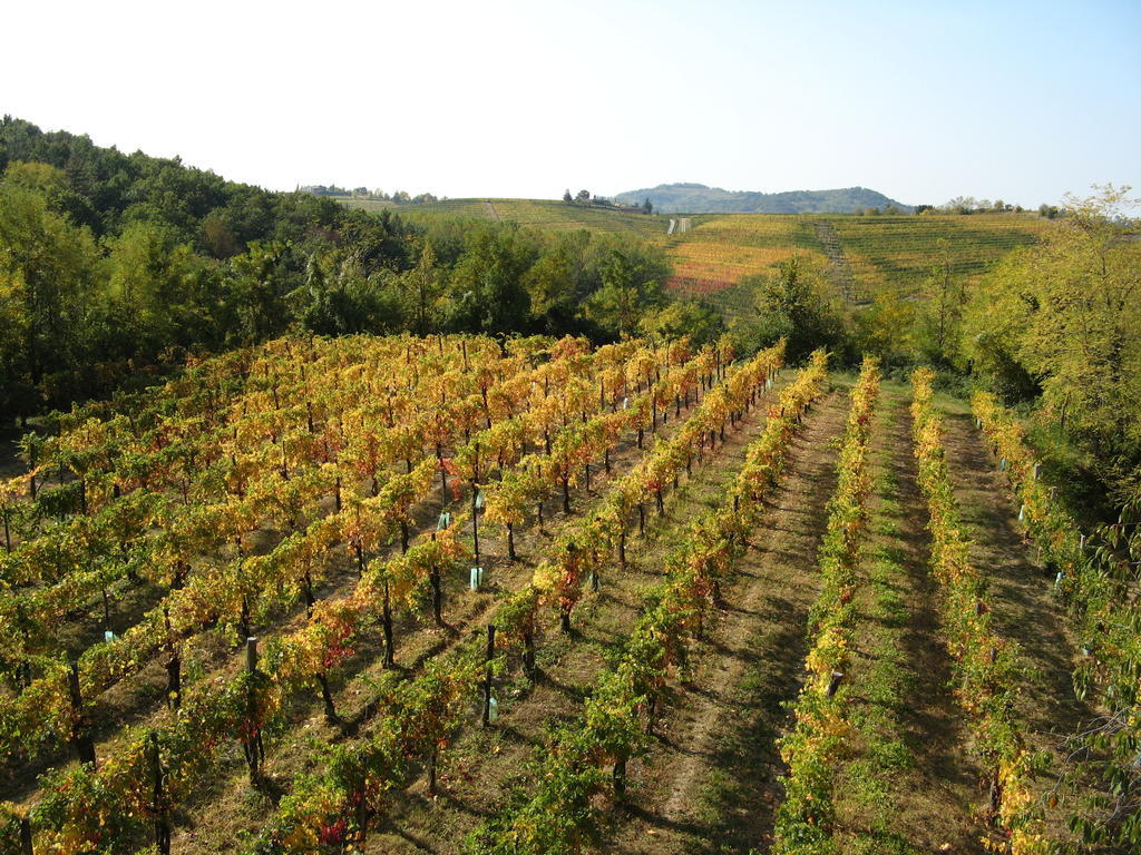 Vila Bosco Romagno Cividale del Friuli Exteriér fotografie